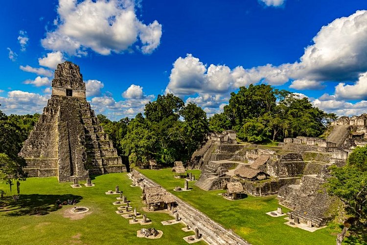 Le cité maya de Tikal