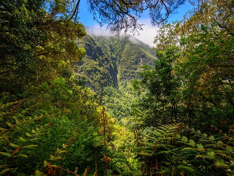 PR9 : Levada do Caldeirao Verde