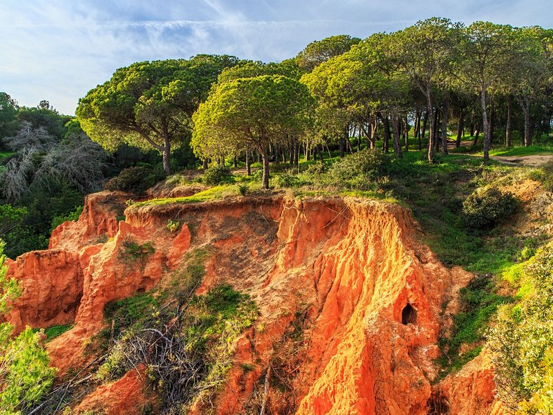 La Ria Formosa