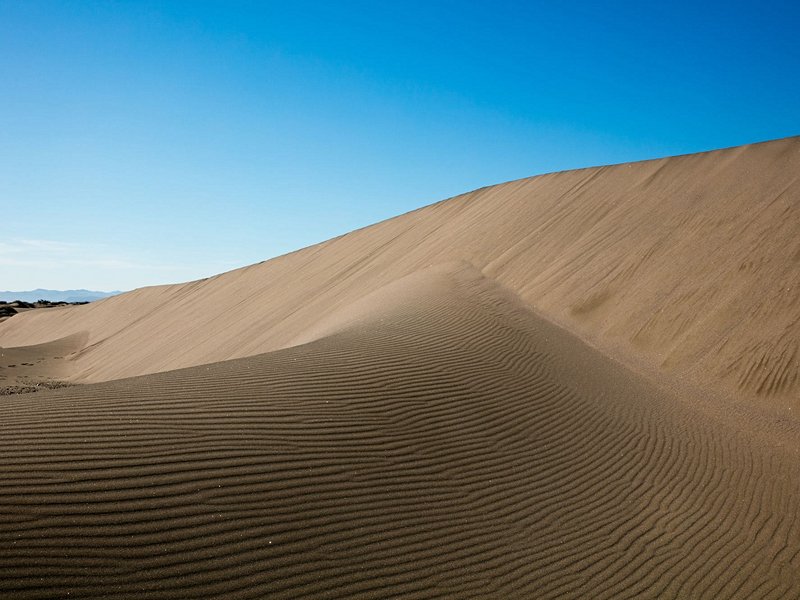 Surfer sur les dunes d'El Mogote