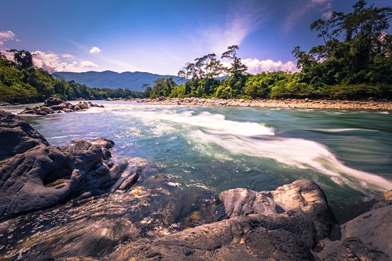 Le parc national du Manu