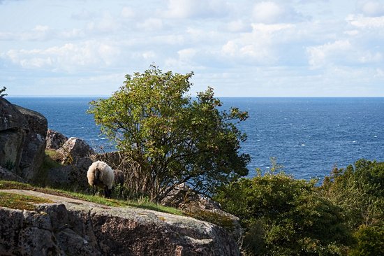 Île de Bornholm