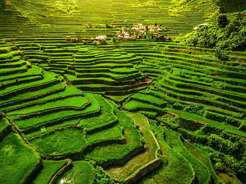 Ifugao