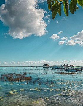 Les plus beaux lieux du Mexique