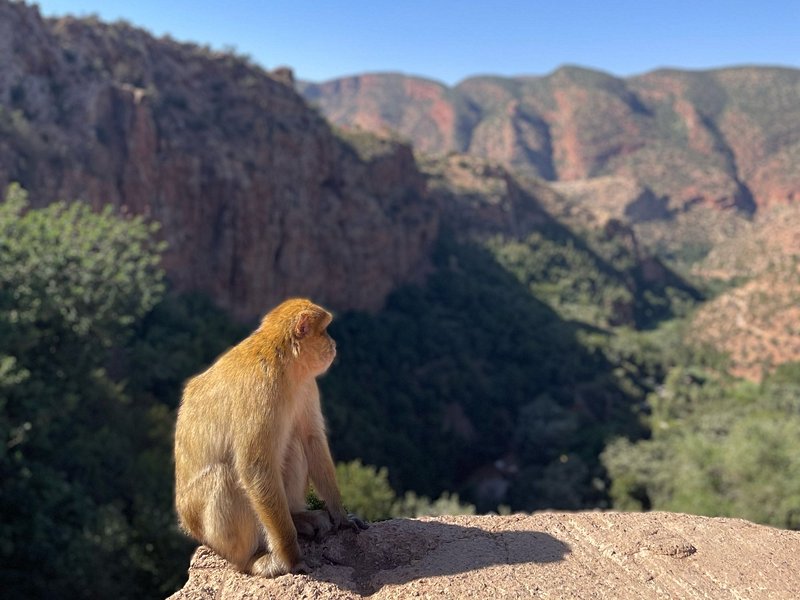 Les excursions autour de Marrakech