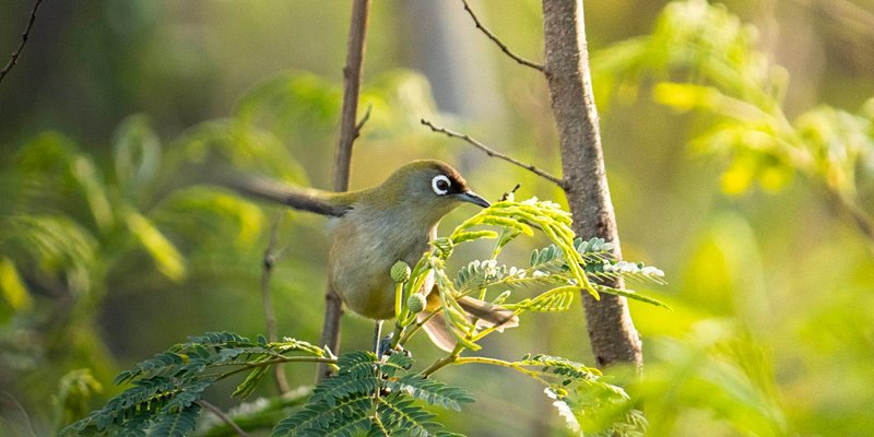 Découvrir la faune locale en famille