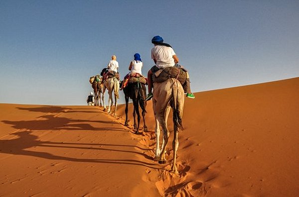 Bivouaquer dans les dunes du Sahara à dos de dromadaire
