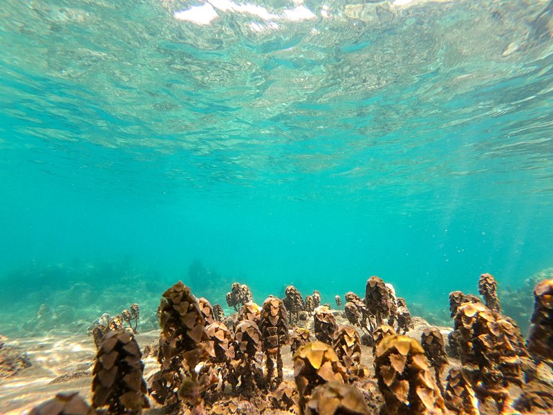 Les plages de Koh Kut