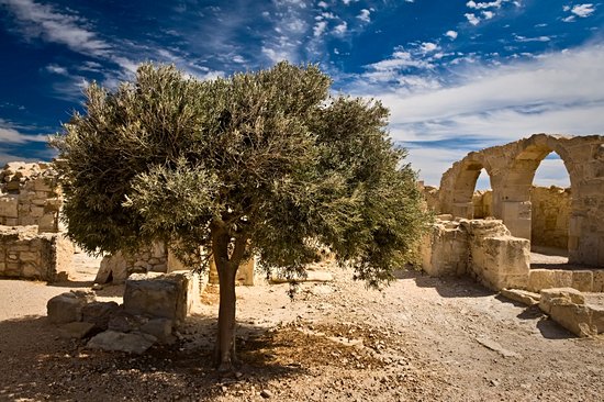 Site archéologique de Kourion