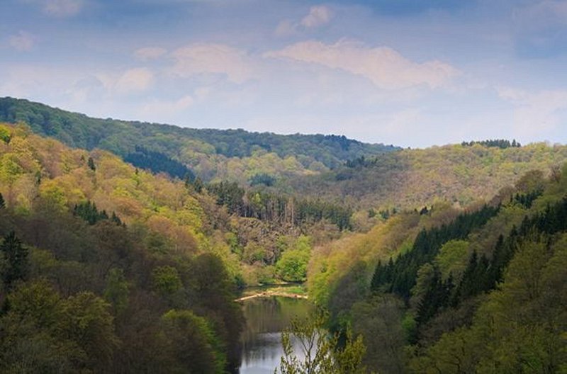 Randonner dans les Ardennes