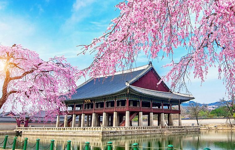 Le palais royal de Gyeongbokgung