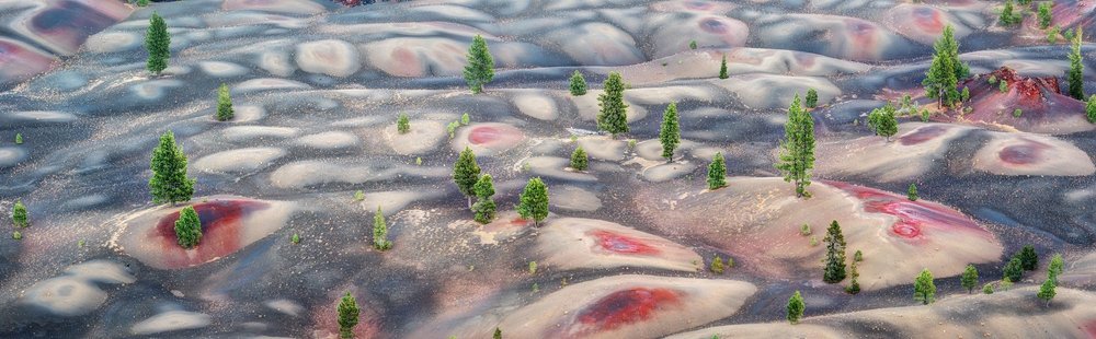 Dunes peintes