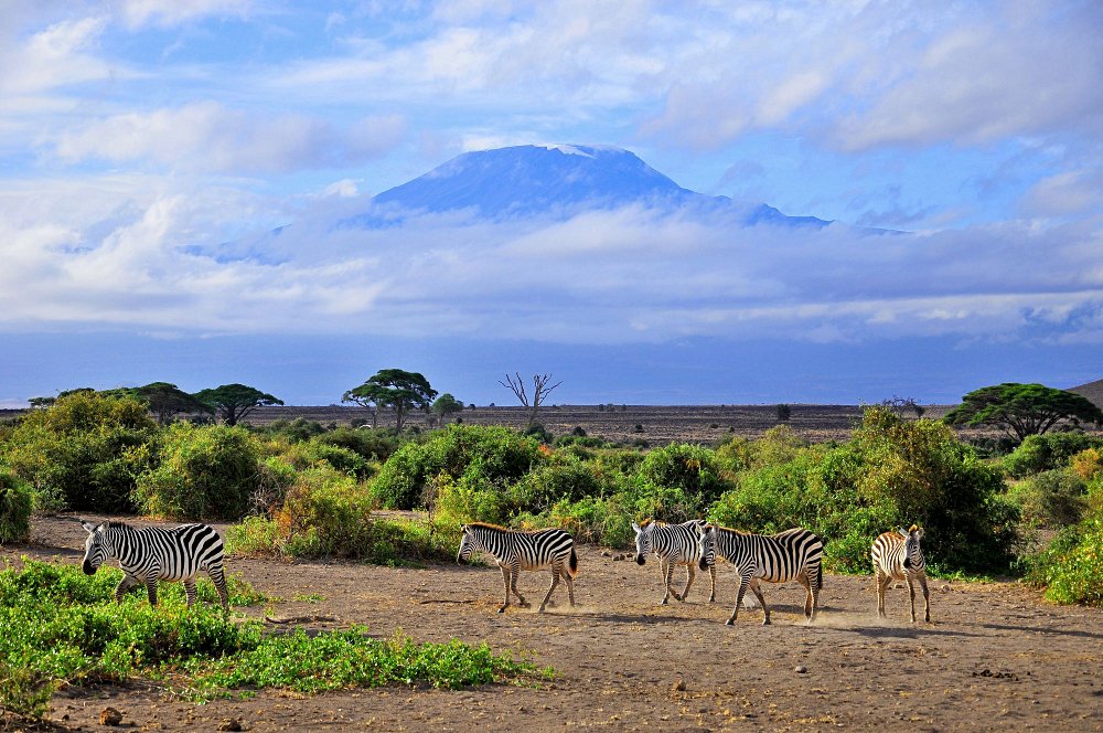 Tanzanie au mois de  mars