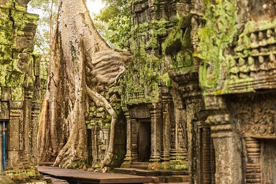 Ta Prohm