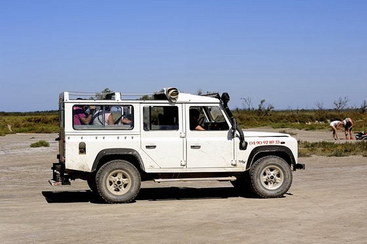 S’aventurer au cœur de la Camargue en 4x4