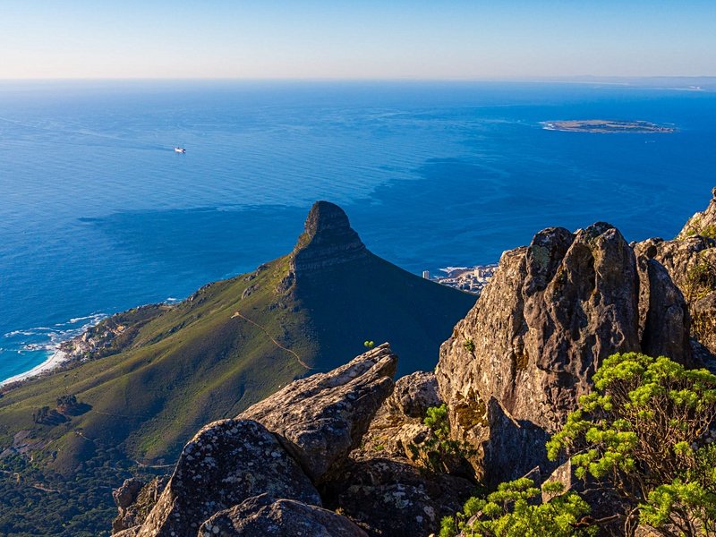 Lion’s Head