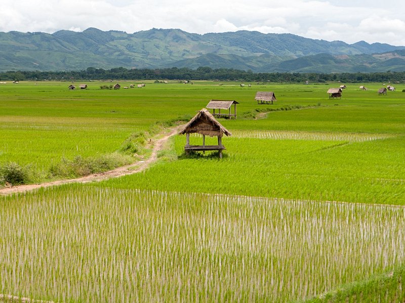 Luang Namtha