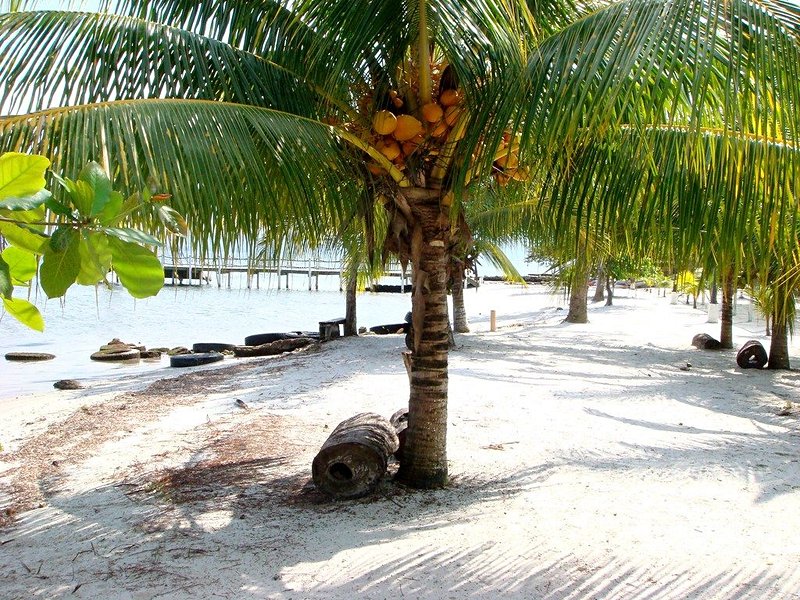 plage Les plages de Puerto Barrios