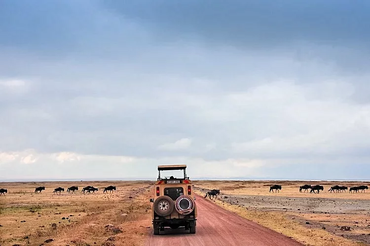 Cratère du N'gorongoro - Tanzanie 3