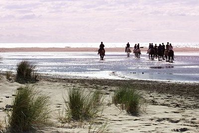 Balade à cheval sur la plage au coucher du soleil
