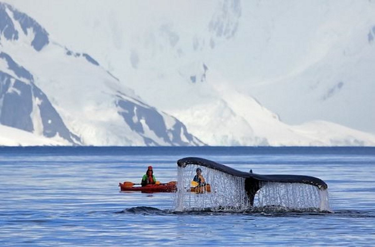 Faire du kayak à travers la péninsule