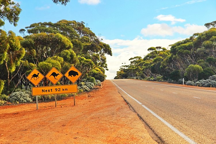 N°11 Australie 3