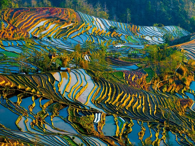 Rizières de Yuanyang