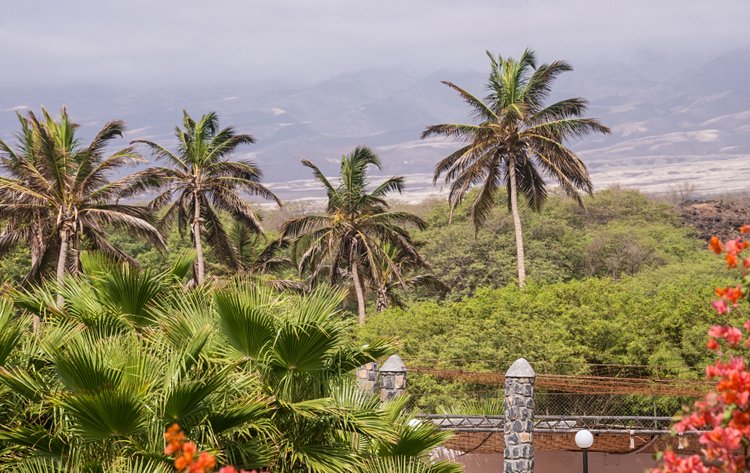 Porto Novo, le portail aux 2 visages 3
