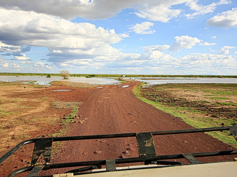 Lac Manyara