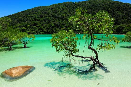 Îles Surin