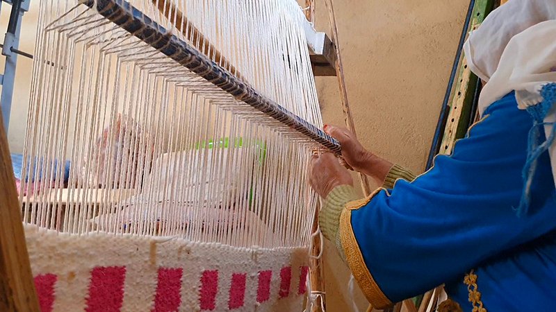 Vivre dans une coopérative féminine de l'Anti-Atlas