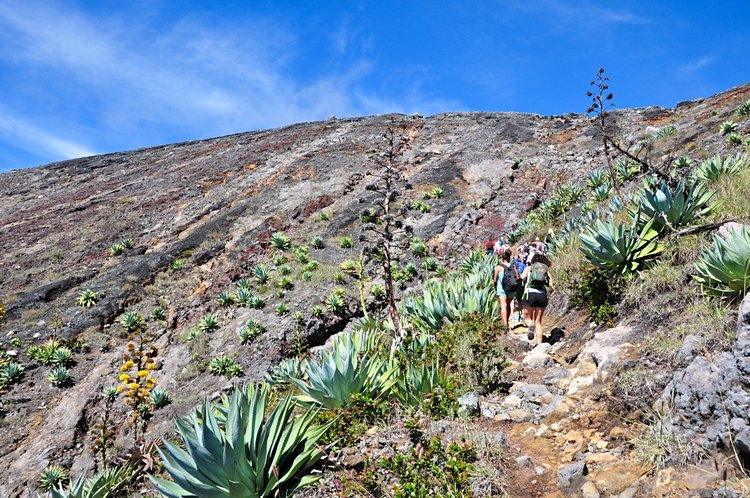 Parc national de Los Volcanos ou Cerro Verde 3
