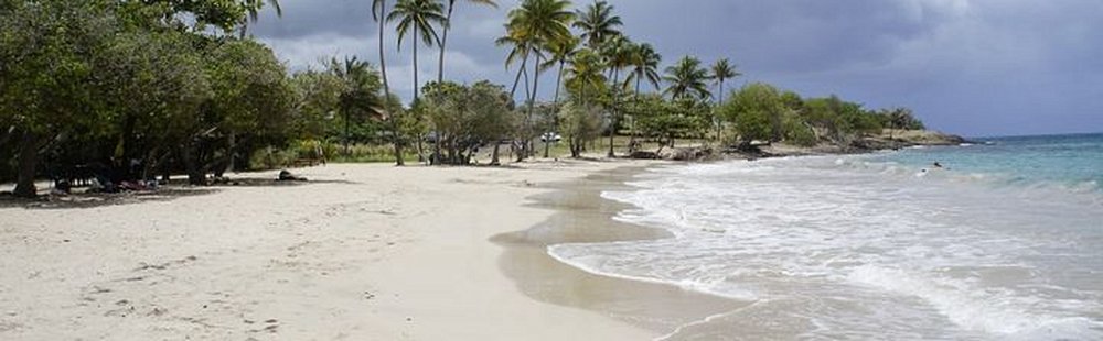 L’Anse Gros raisin