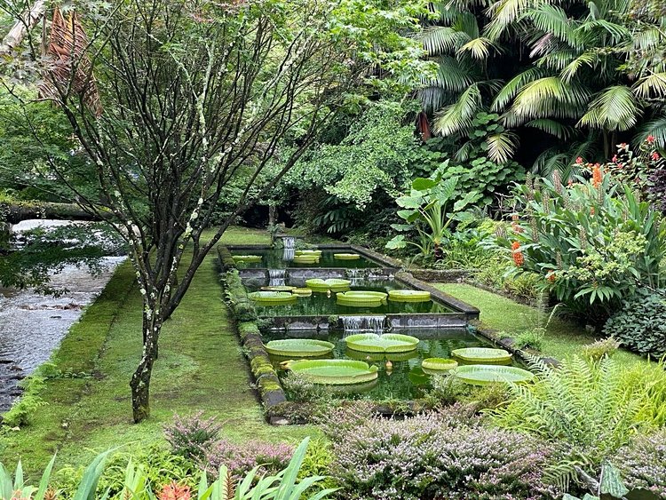 Furnas : Terra Nostra, le jardin botanique