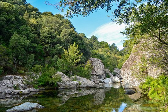 Vallée du Tavignano