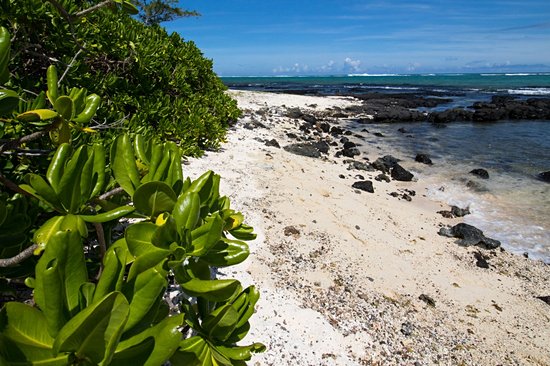 Île des Deux Cocos