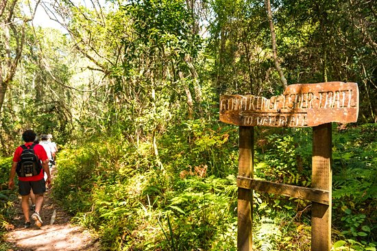 Parc national de Wilderness