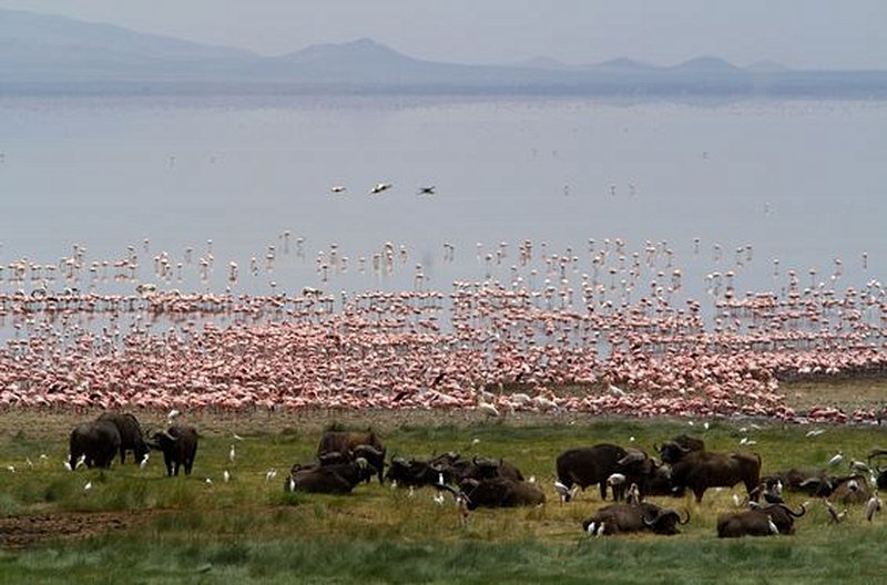 Faire une randonnée en vélo au nord du Lac de Manyara