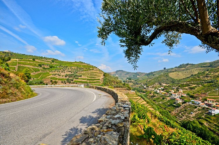 Route des vins du Douro - Portugal 2