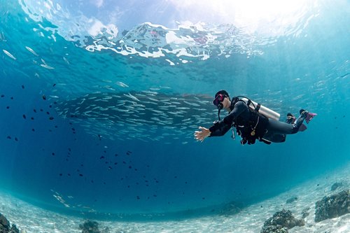 Les plus beaux spots de plongée
