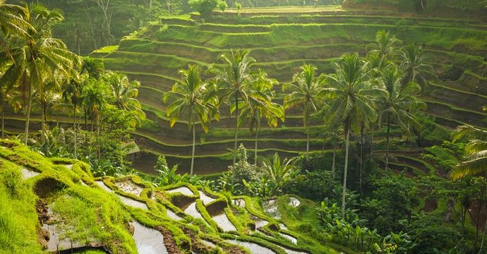 Bali