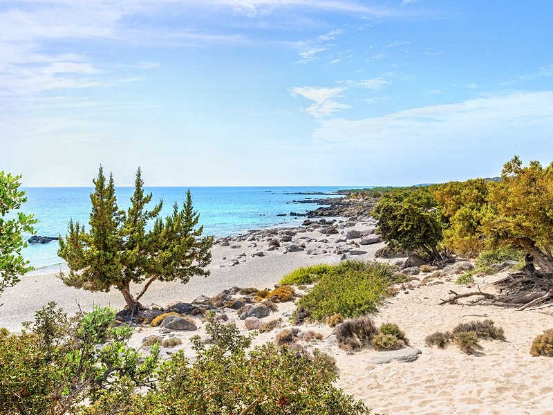 Dunes et cèdres du lagon