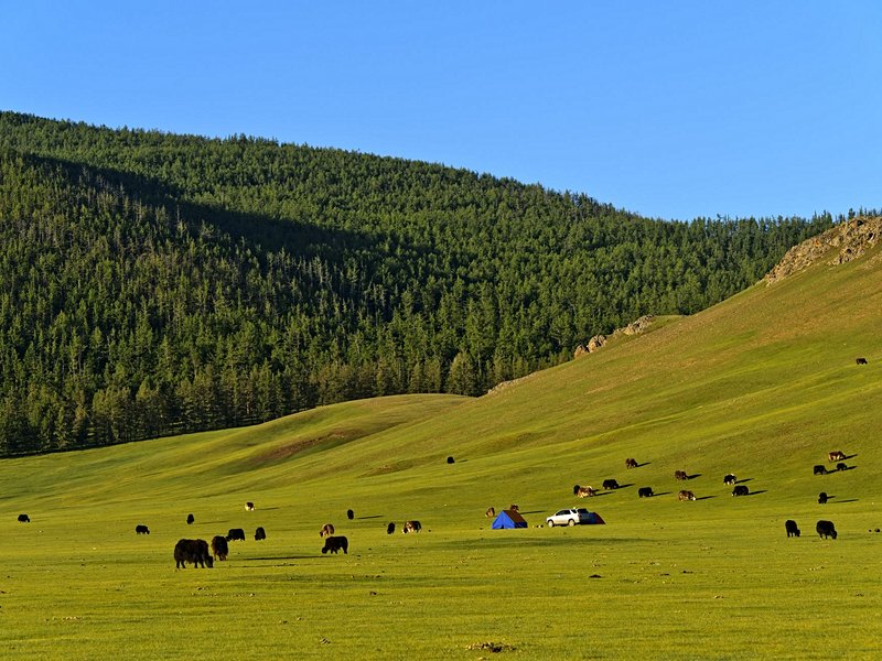 Vallée de l'Orkhon