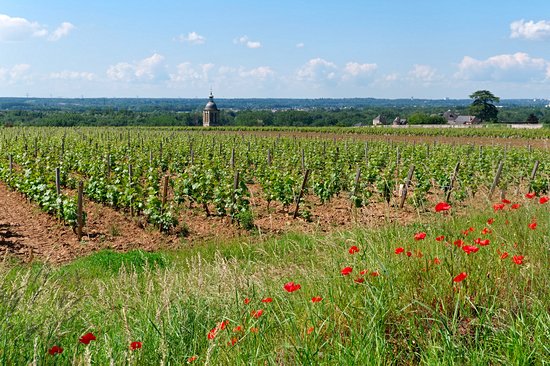 Vouvray
