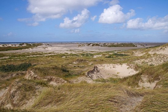 Île de Romo