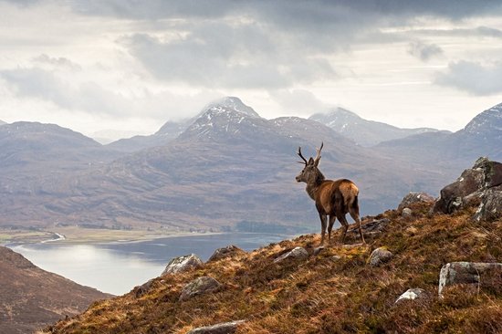 Torridon
