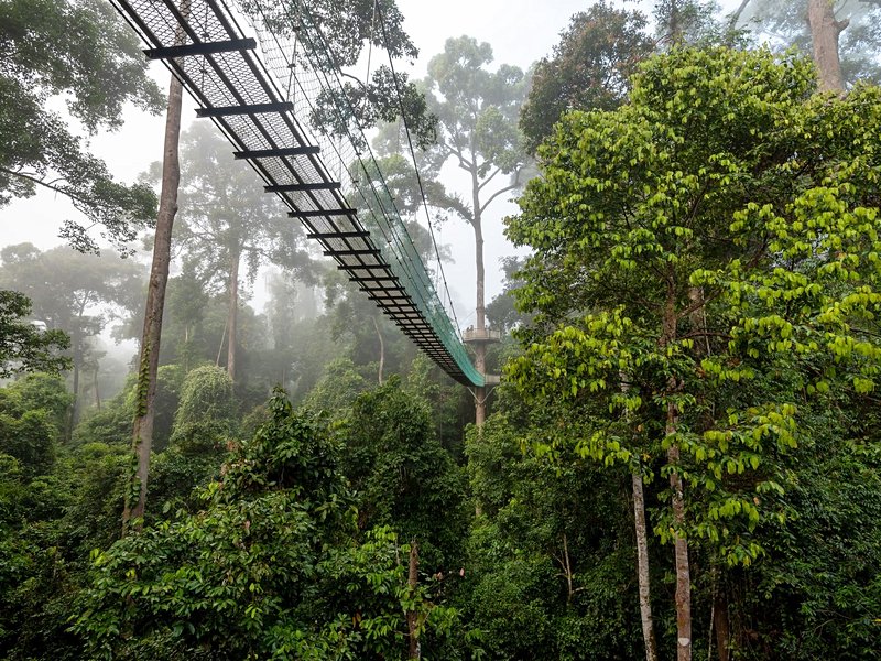 Danum Valley