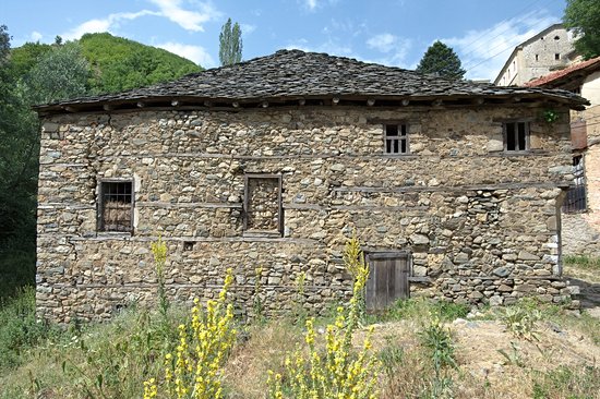 Maloviste