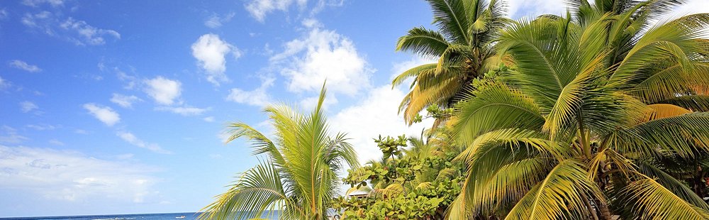 Grande Anse du Carbet