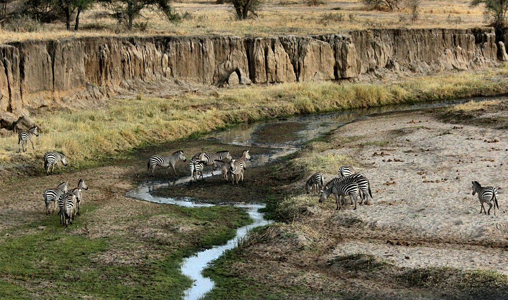 Tanzanie au mois de  mai